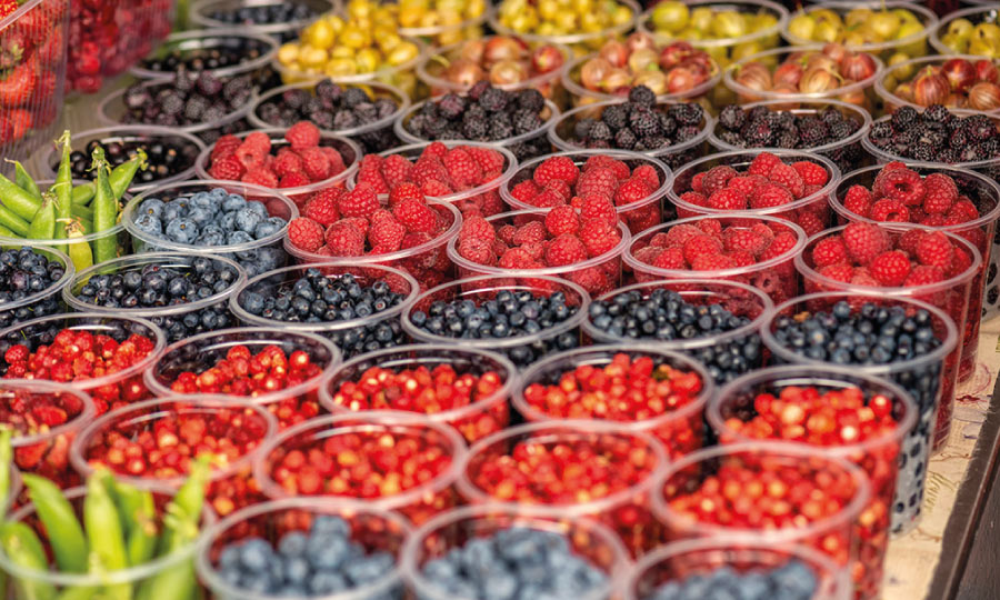 FOR A LEADING BERRY PRODUCER, ANTARES VISION GROUP DIGITALIZES BILLIONS OF PRODUCTS FOR TIGHT SUPPLY CHAIN OVERSIGHT AND DIRECT CONSUMER CONNECTIONS [1] - Antares Vision Group